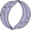 o